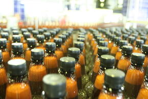 Неожиданные полезные свойства пива назвала врач