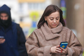 Рейтинг наиболее популярных материалов «Живой Кубани» за сегодня