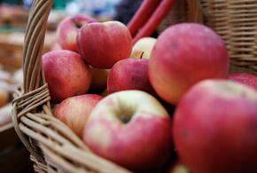 Яблоки