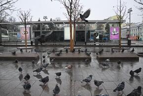 Погода на неделю с 9 по 15 февраля в Краснодарском крае