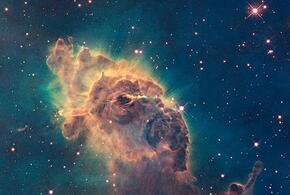 Раки получат ценный совет, Водолеев ожидает легкий день