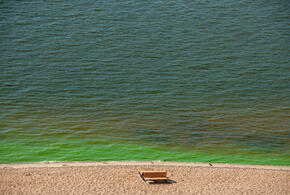 Морское побережье