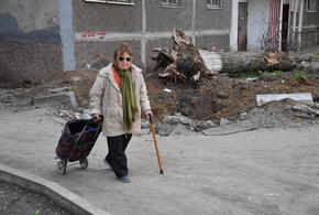 Возбуждено уголовное дело