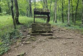 Запрет на шашлыки