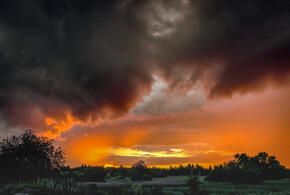 Школьники из Красноярска в тяжёлом состоянии после нападения одноклассницы, в российские войска начал поступать новый тяжёлый FPV-дрон: что произошло, пока вы спали