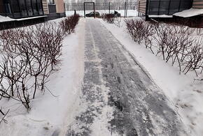 Школы Кубани одна за другой отменяют занятия. В чем причина?