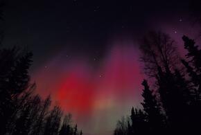 Гороскоп на 24 февраля 2026 года для всех знаков зодиака