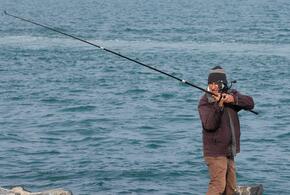 Ущерб превысил 115 тысяч рублей