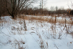 Стало известно, куда в Краснодаре упали фрагменты вражеского беспилотника