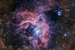 Тельцам лучше воздержаться о т серьезных разговоров, а Девам придется отказаться от решения финансовых вопросов