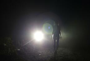 Фото: globallookpress\© Andrey Arkusha