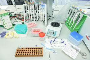 Препарат уже прошел первые испытания