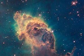 В личной жизни Стрельцов ждут перемены, а Козерогам нужно отдать предпочтение неформатному общению и экзотике