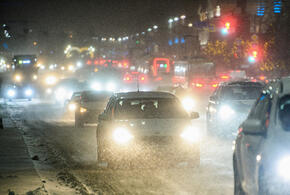 В парке Галицкого в Краснодаре орудуют фотографы с совами, что делать, если нет талонов к врачу: ТОП-5 за 9 февраля
