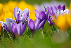 В парке Галицкого в Краснодаре происходят сезонные перемены