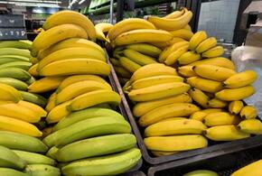 Бананы