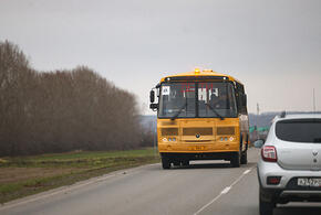 Зачем они там ходят? В администрации Сочи ответили, что гнилой подвесной мост, по которому дети идут в школу, построили сами жители