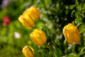 Синоптики рассказали, какие изменения принесет антициклон