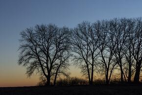 Американцы потребовали отправить в Иран младшего сын Трампа, дом певицы Рианны обстреляла женщина: что произошло, пока вы спали