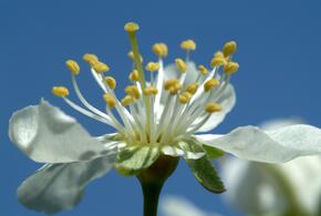 Готовьтесь к переменам и будьте готовы к критике