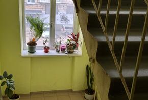 Подъезд многоквартирного дома: за что требовать перерасчет?