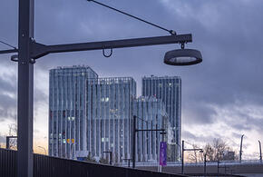 Что происходит с массовым убоем коров, обстоятельства исчезновения 16-летней девушки из Новороссийска: ТОП-5 за 13 марта