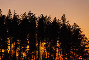 День Весеннего равноденствия – сегодня, 20 марта. Традиции и смысл праздника