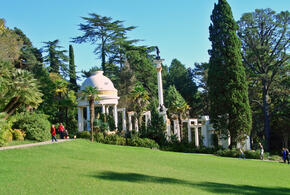 «Дерево Дружбы» в Сочи хотят отремонтировать. Сколько денег выделено на работы?