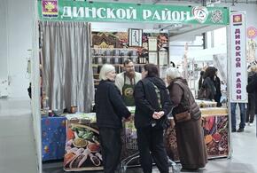 Для тугого кошелька: цена деликатесов на Кубанской весенней ярмарке в «Экспограде» поразила краснодарских покупателей