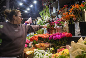 Домашние животные могут умереть от цветов на 8 марта, предупредили ветеринары