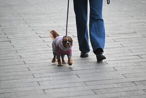 И снова здравствуйте: в Краснодарском крае пойдёт снег. Прогноз погоды на неделю со 2 по 8 марта