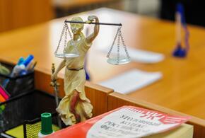 Чиновник не смог объяснить, на какие деньги приобрел дорогую недвижимость и транспорт