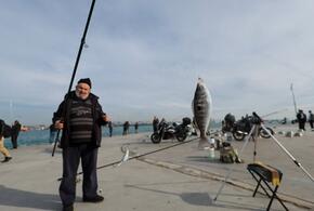 Кефаль запретили ловить в Черном море, рыбаков попросили быть гуманными