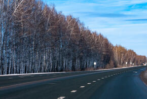 В планах - продолжение крупных проектов