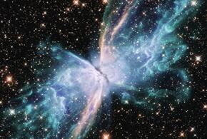 Козероги могут положиться на союзников, а Весам нужно время