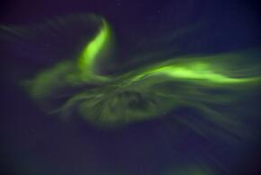 Гороскоп на 1 апреля 2026 года для всех знаков зодиака