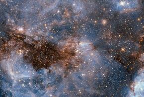 Львы освоят новые навыки, а Весы столкнутся с провокациями 