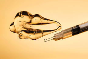 Медуз будут колоть в лицо: нашествие беспозвоночных в Азовском море вдохновило учёных