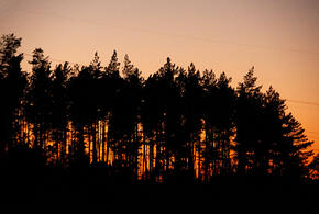 Метеозависимость или психосоматика: что на самом деле стоит за ухудшением самочувствия при смене погоды?