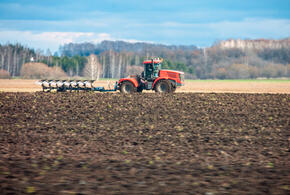 Власти рассчитывают остановить истощение чернозема и повысить урожайность