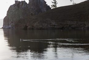 Обнаружено уникальное захоронение гигантских слонов и носорогов на Таманском полуострове, но его неумолимо уничтожает Азовское море