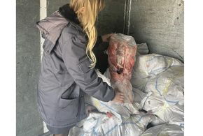 Опасное мясо нутрии пытались провезти в Успенский район Кубани