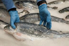 Тест на свежесть рыбы