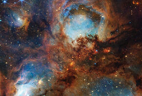 Овны побалую себя вкусным блюдом, а Львы найдут новый источник доходов