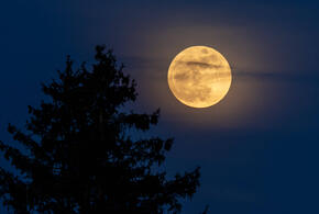 Гороскоп на 5 марта 2026 года для всех знаков зодиака