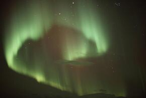 Овны рискуют переоценить собственные силы, в жизни Весов «нарисуется» прошлое