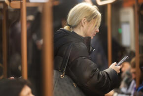 Рейтинг наиболее популярных материалов «Живой Кубани» за сегодня