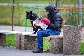 Рейтинг наиболее популярных материалов «Живой Кубани» за сегодня