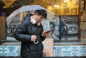 Прогнозируются дожди и туманы