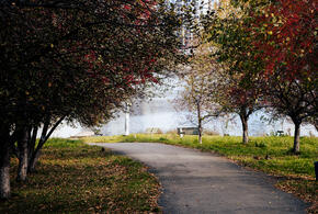 В станице Павловской Краснодарского края по нацпроекту обновят Центральную площадь